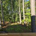 15+/- AC Red Hill Rd - Photo 44