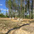15+/- AC Red Hill Rd - Photo 58
