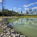 15+/- AC Red Hill Rd - Photo 7