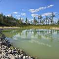 15+/- AC Red Hill Rd - Photo 8