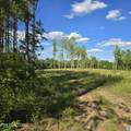 80+/- AC Red Hill Rd - Photo 11