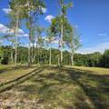 80+/- AC Red Hill Rd - Photo 14