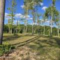 80+/- AC Red Hill Rd - Photo 16