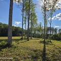 80+/- AC Red Hill Rd - Photo 17