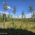 80+/- AC Red Hill Rd - Photo 6