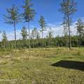 80+/- AC Red Hill Rd - Photo 7