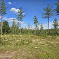 80+/- AC Red Hill Rd - Photo 8