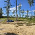80+/- AC Red Hill Rd - Photo 9