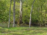 102 Pinnacle Point Lane - Photo 10