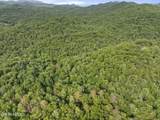 TBD Grouse Top (Lot 4) Rd - Photo 6