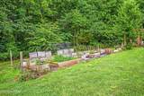 516 Knob Rd - Photo 34