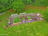 516 Knob Rd - Photo 35