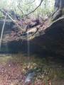 1501 Rob Watson Rd - Photo 4