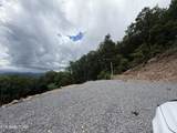 1038 Clingmans View - Photo 11
