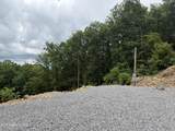 1038 Clingmans View - Photo 13