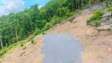 1038 Clingmans View - Photo 5