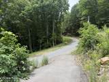 1038 Clingmans View - Photo 9