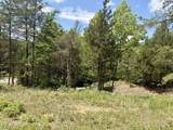  Burchfiel Way - Photo 10