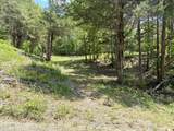 Burchfiel Way - Photo 13