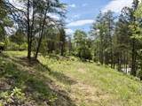  Burchfiel Way - Photo 15