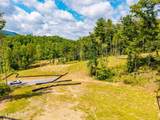  Waldens Creek Rd - Photo 53