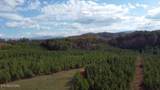  Millsaps Road - Photo 8