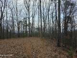 Lot 4 Deer Ridge Lane - Photo 4
