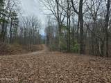 Lot 4 Deer Ridge Lane - Photo 5