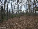 Lot 4 Deer Ridge Lane - Photo 6