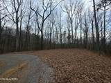Lot 4 Deer Ridge Lane - Photo 9