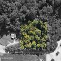 0 Richmond Ave - Photo 2