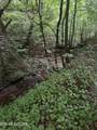  County Road 484 - Photo 10
