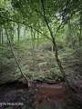  County Road 484 - Photo 6