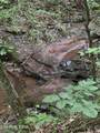 County Road 484 - Photo 7