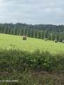 Holston Acres - Photo 2