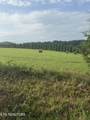  Holston Acres - Photo 3