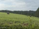  Holston Acres - Photo 4