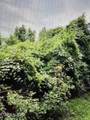 450 Butler Rd - Photo 6