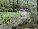  Lonesome Valley Rd - Photo 15