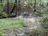  Lonesome Valley Rd - Photo 16