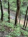 Lonesome Valley Rd - Photo 33