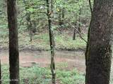  Lonesome Valley Rd - Photo 34