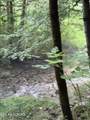  Lonesome Valley Rd - Photo 35