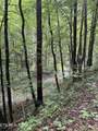  Lonesome Valley Rd - Photo 36