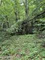  Lonesome Valley Rd - Photo 39
