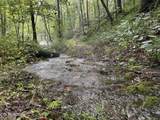  Lonesome Valley Rd - Photo 4