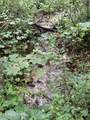  Lonesome Valley Rd - Photo 41