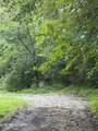  Lonesome Valley Rd - Photo 43