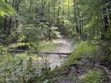  Lonesome Valley Rd - Photo 8