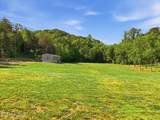 427 Thorngrove Pike - Photo 17